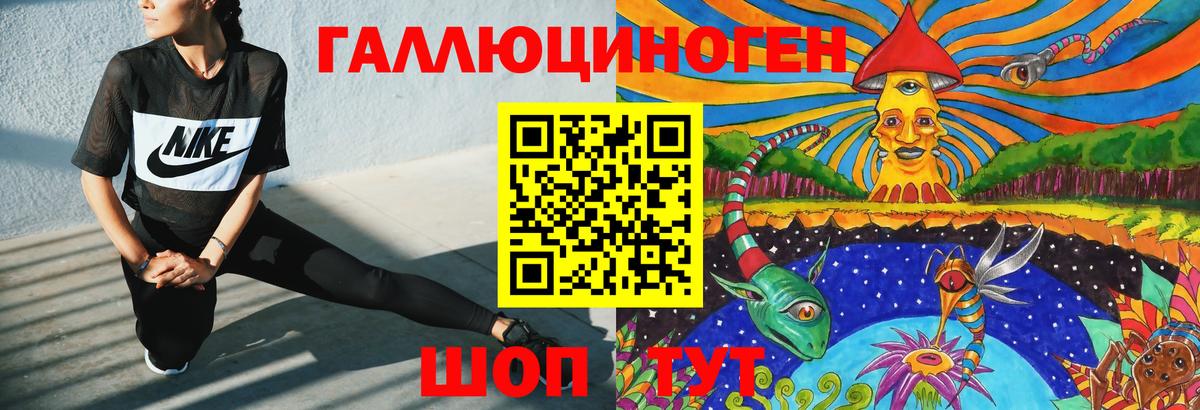Галлюциногенные грибы Psilocybe Уссурийск