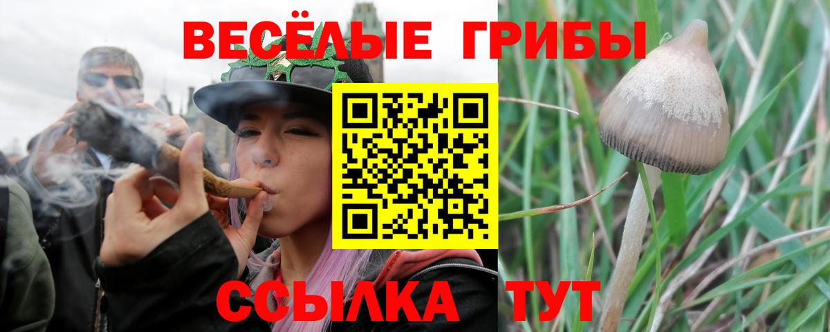 Псилоцибиновые грибы мицелий  Вход с VPN  Уссурийск 